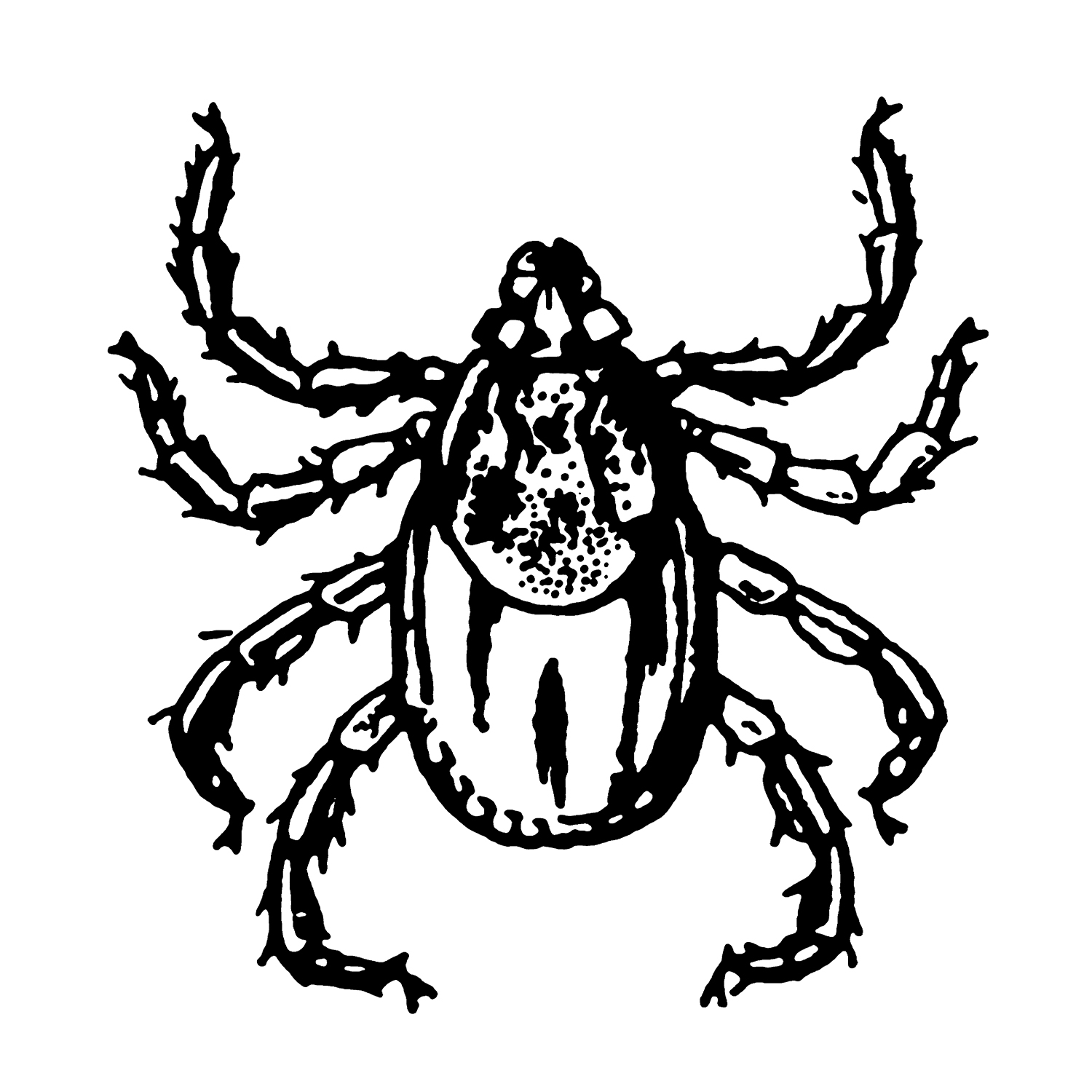 Drawing of a tick